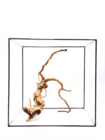 Koreň pre terárium / akvárium Red Moor - veľký – Obrázok 2