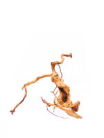 Koreň pre terárium / akvárium Red Moor - veľký