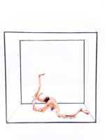 Koreň pre terárium / akvárium Red Moor - veľký – Obrázok 2