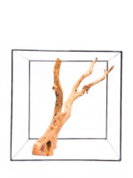 Koreň pre terárium / akvárium Red Moor - veľký – Obrázok 3