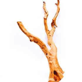 Aquarium / terrarium wood - Red moor - Big