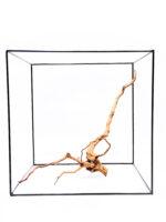 Aquarium / terrarium wood - Red moor - Big - Image 2