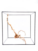 Aquarium / terrarium wood - Red moor - Big - Image 3