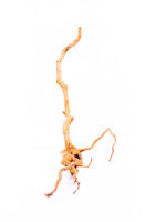 Aquarium / terrarium wood - Red moor - Big