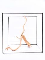 Aquarium / terrarium wood - Red moor - Big - Image 2