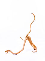 Aquarium / terrarium wood - Red moor - Big