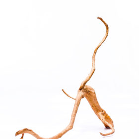 Terrarium / Aquarium Wurzel Red Moor – Groß