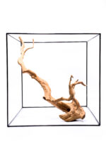 Aquarium / terrarium wood - Red moor - Big - Image 3