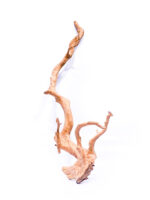 Aquarium / terrarium wood - Red moor - Big