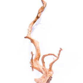 Aquarium / terrarium wood - Red moor - Big