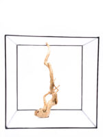 Terarijní / akvarijní kořen Red Moor - velký - Obrázek 2