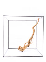 Terarijní / akvarijní kořen Red Moor - velký - Obrázek 3