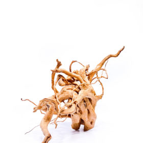 Terarijní / akvarijní kořen Red Moor - velký