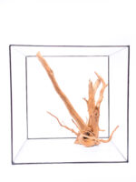 Koreň pre terárium / akvárium Red Moor - veľký – Obrázok 3