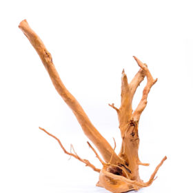 Terarijní / akvarijní kořen Red Moor - velký