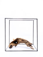 Aquarium / terrarium wood - Plant Wood - Small/Medium - Image 2