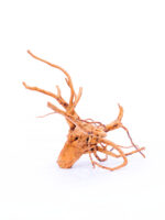 Korzeń do terrarium / akwarium Red Moor - Średni