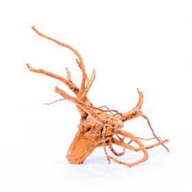 Koreň pre terárium / akvárium Red Moor - stredný