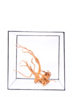 Terarijní / akvarijní kořen Red Moor - střední - Obrázek 2