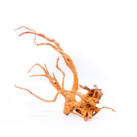 Terarijní / akvarijní kořen Red Moor - střední