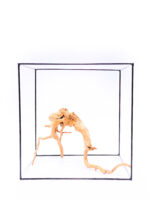 Korzeń do terrarium / akwarium Red Moor - Średni - obrazek 3