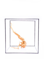 Korzeń do terrarium / akwarium Red Moor - Średni - obrazek 2