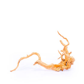 Terarijní / akvarijní kořen Red Moor - střední