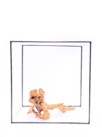 Terrarium / Aquarium Wurzel Red Moor – Medium – Bild 2