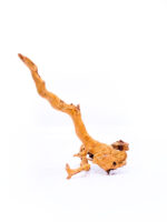 Terrarium / Aquarium Wurzel Red Moor – Medium