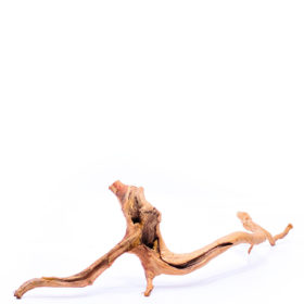 Terarijní / akvarijní kořen Red Moor - střední