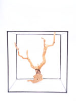 Terarijní / akvarijní kořen Red Moor - střední - Obrázek 3