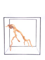 Terarijní / akvarijní kořen Red Moor - střední - Obrázek 2