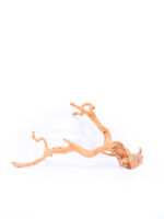 Štartovacia sada - Chov šípových žiab – Obrázok 12