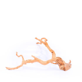 Terarijní / akvarijní kořen Red Moor - střední