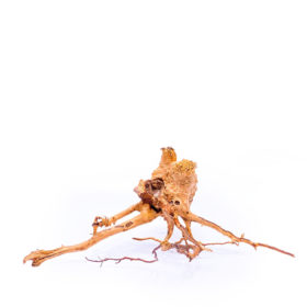 Terarijní / akvarijní kořen Red Moor - střední