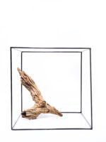 Terarijní / akvarijní kořen Plant Wood - malý / střední - Obrázek 2