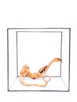 Terarijní / akvarijní kořen Red Moor - střední - Obrázek 3