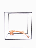 Aquarium / terrarium wood - Red moor - Medium - Image 2