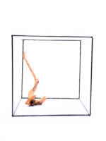 Aquarium / terrarium wood - Red moor - Medium - Image 3