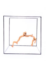 Terrarium / Aquarium Wurzel Red Moor – Medium – Bild 3