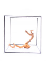 Terrarium / Aquarium Wurzel Red Moor – Medium – Bild 2