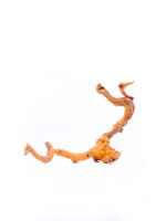 Terrarium / Aquarium Wurzel Red Moor – Medium