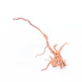 Radice per acquario / terrario - Red Moor - medio