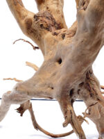 Terarijní / akvarijní kořen Stamp – velký - Obrázek 6