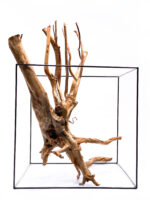 Terarijní / akvarijní kořen Stamp – velký - Obrázek 5