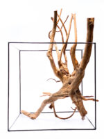 Terarijní / akvarijní kořen Stamp – velký - Obrázek 3