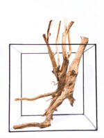 Terarijní / akvarijní kořen Stamp – velký - Obrázek 4