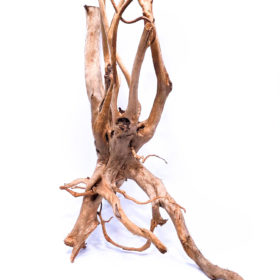 Aquarium / terrarium wood - Stamp - Big