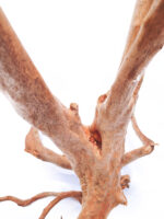 Terrarium / Aquarium Wurzel Stamp – Groß – Bild 5