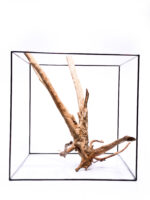 Terrarium / Aquarium Wurzel Stamp – Groß – Bild 4